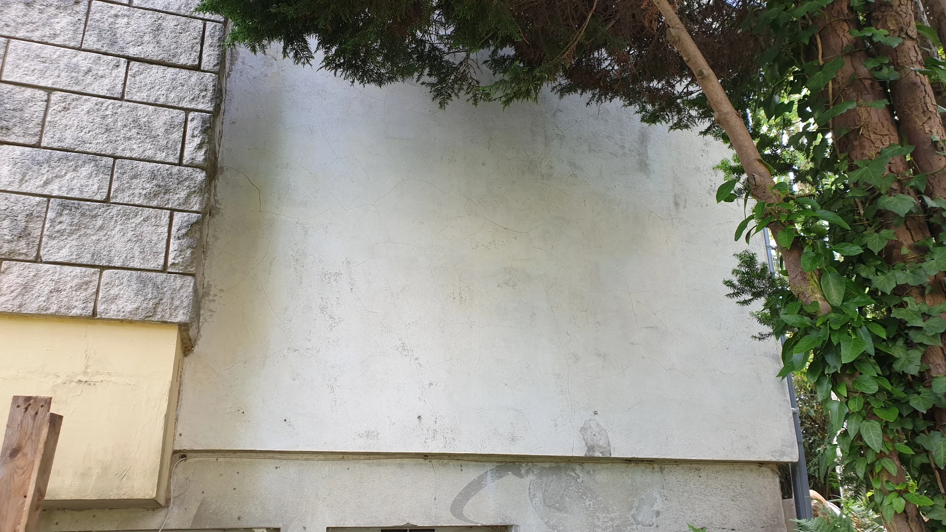 Solutions professionnelles pour vice caché maison