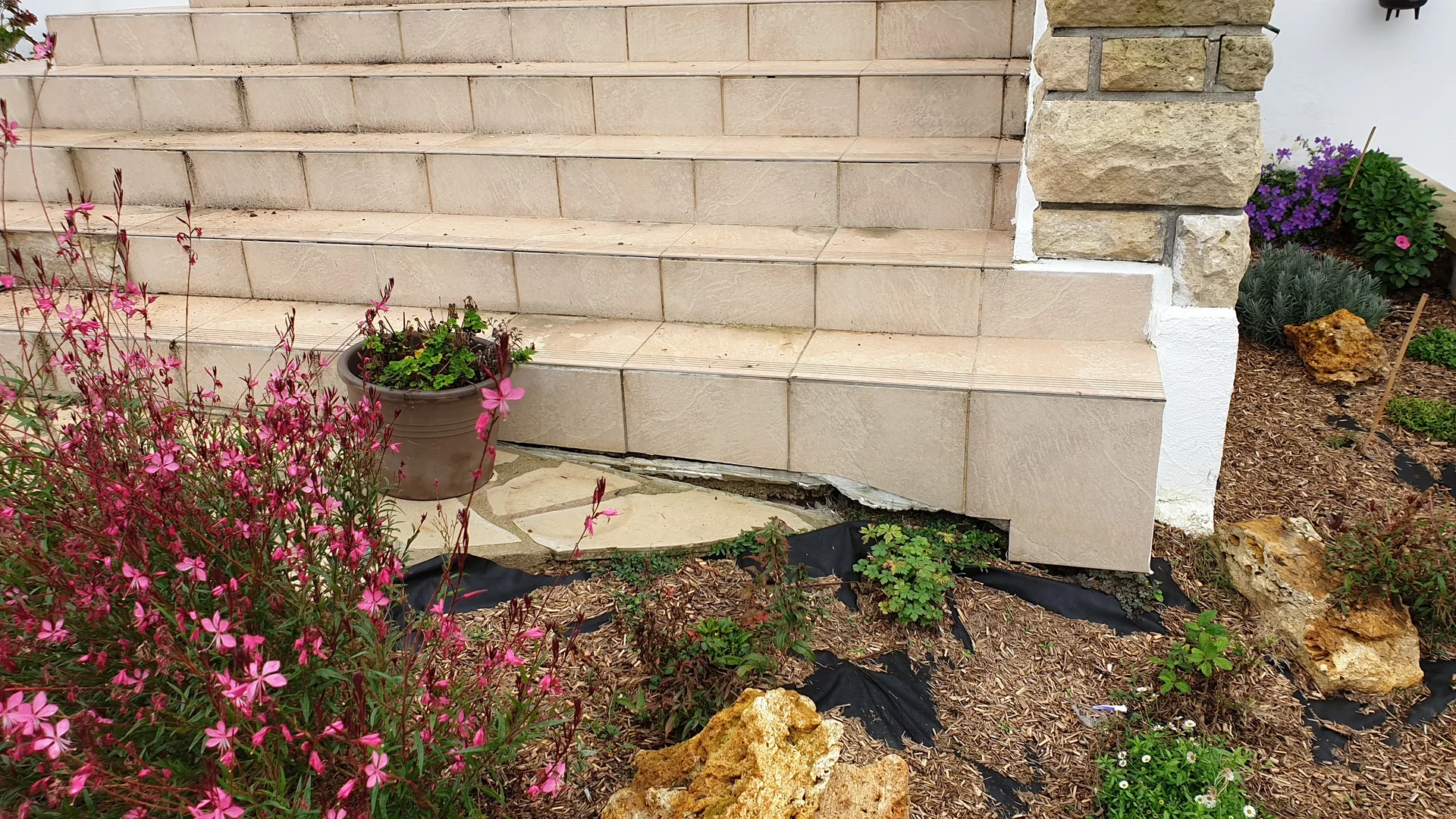 Exemple de vice caché maison dans une maison